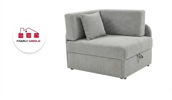 Family Meble — Łóżko dziecięce sofa kanapa rozkładana pojemnik szary welur Denis Family