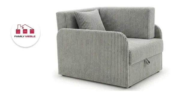 Family Meble — Łóżko dziecięce sofa kanapa rozkładana pojemnik szary welur Denis 3B Family